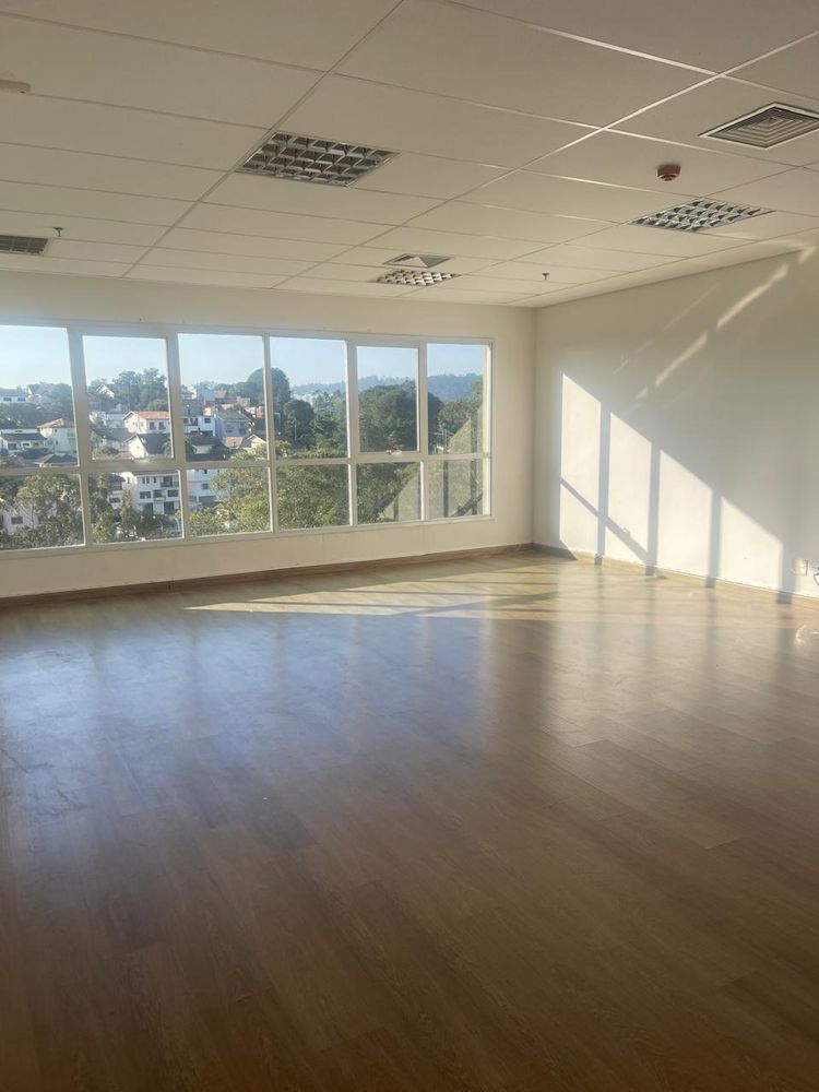 Sala-Conjunto, 531 m² - Foto 4