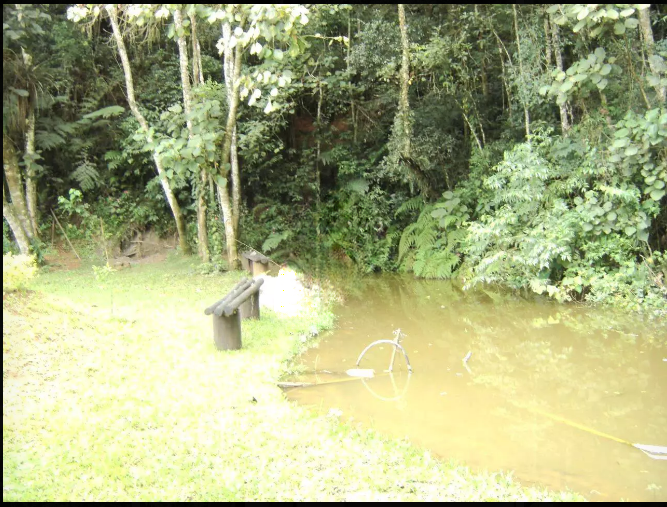 Casa, 4 quartos - Foto 8