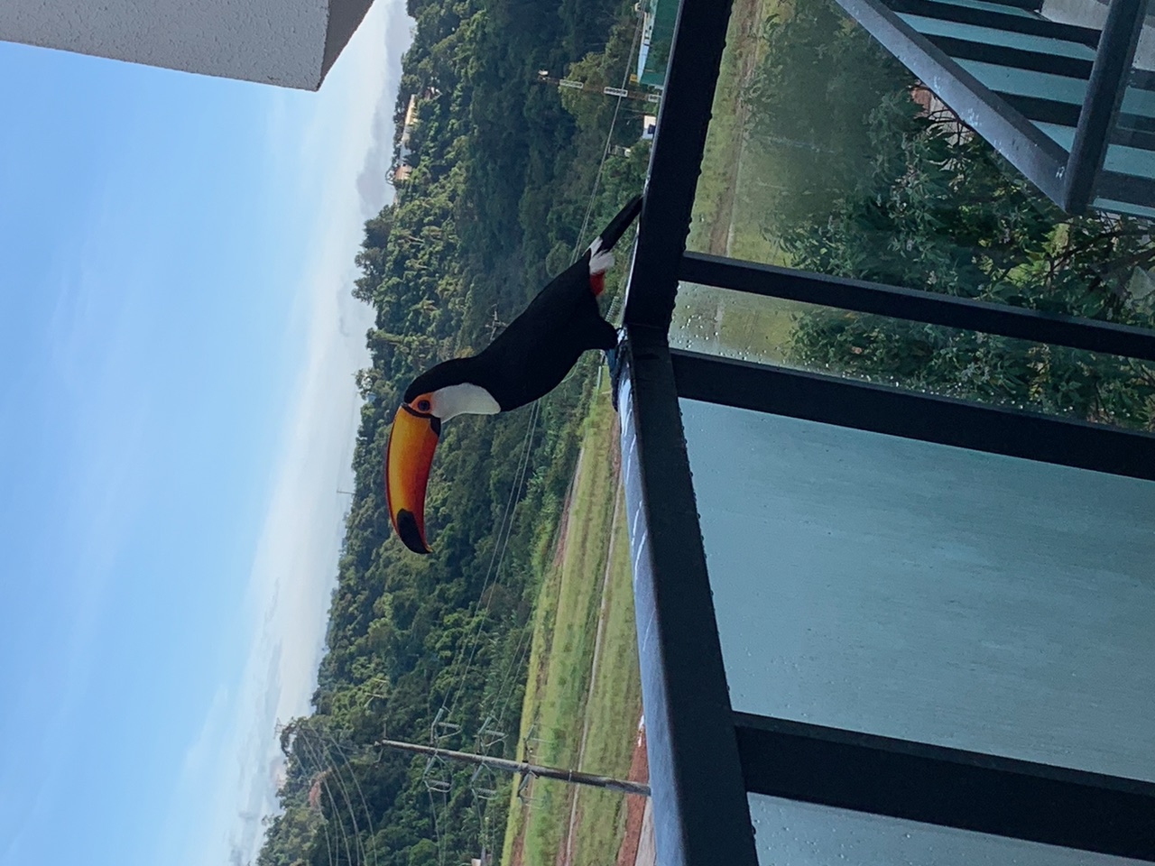 Casa, 4 quartos, 150 m² - Foto 46