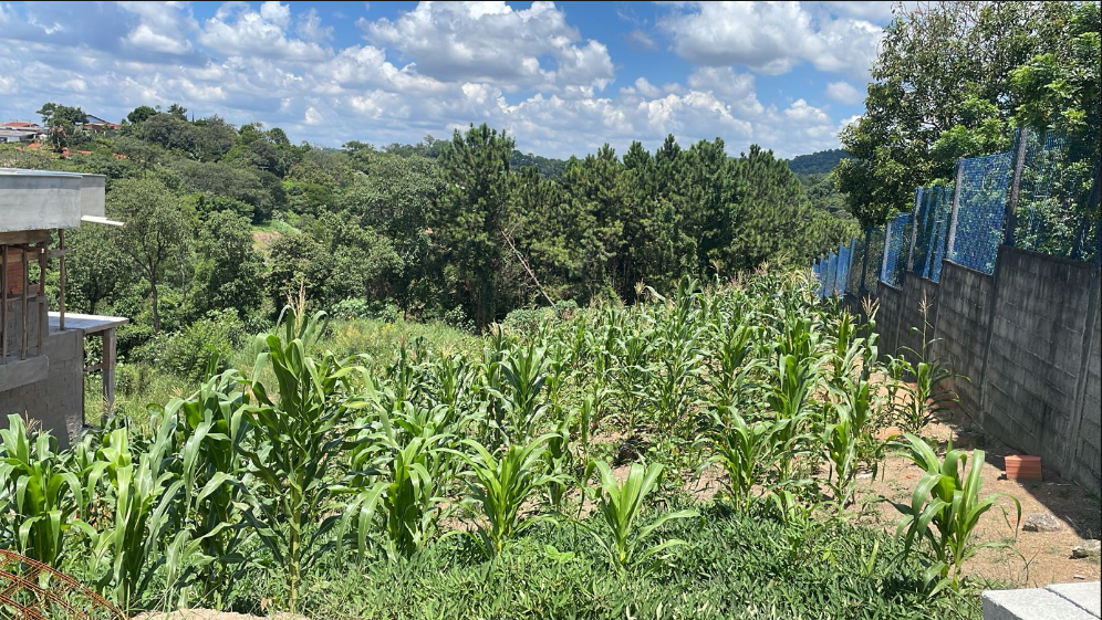Terreno - Venda, Parque Rizzo, Cotia, SP