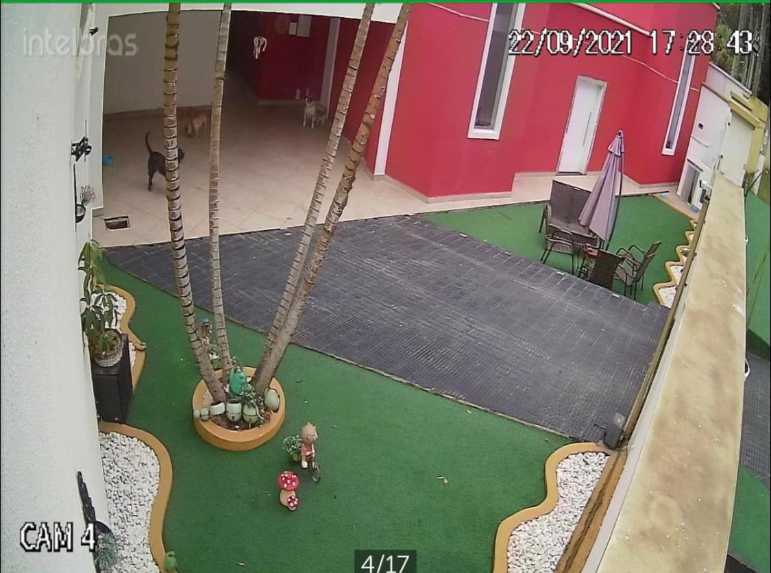 Casa, 3 quartos, 1200 m² - Foto 22