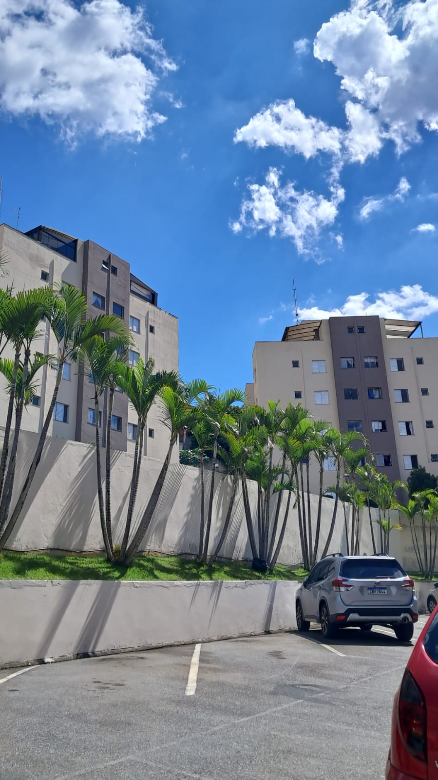 Apartamento, 3 quartos, 62 m² - Foto 1