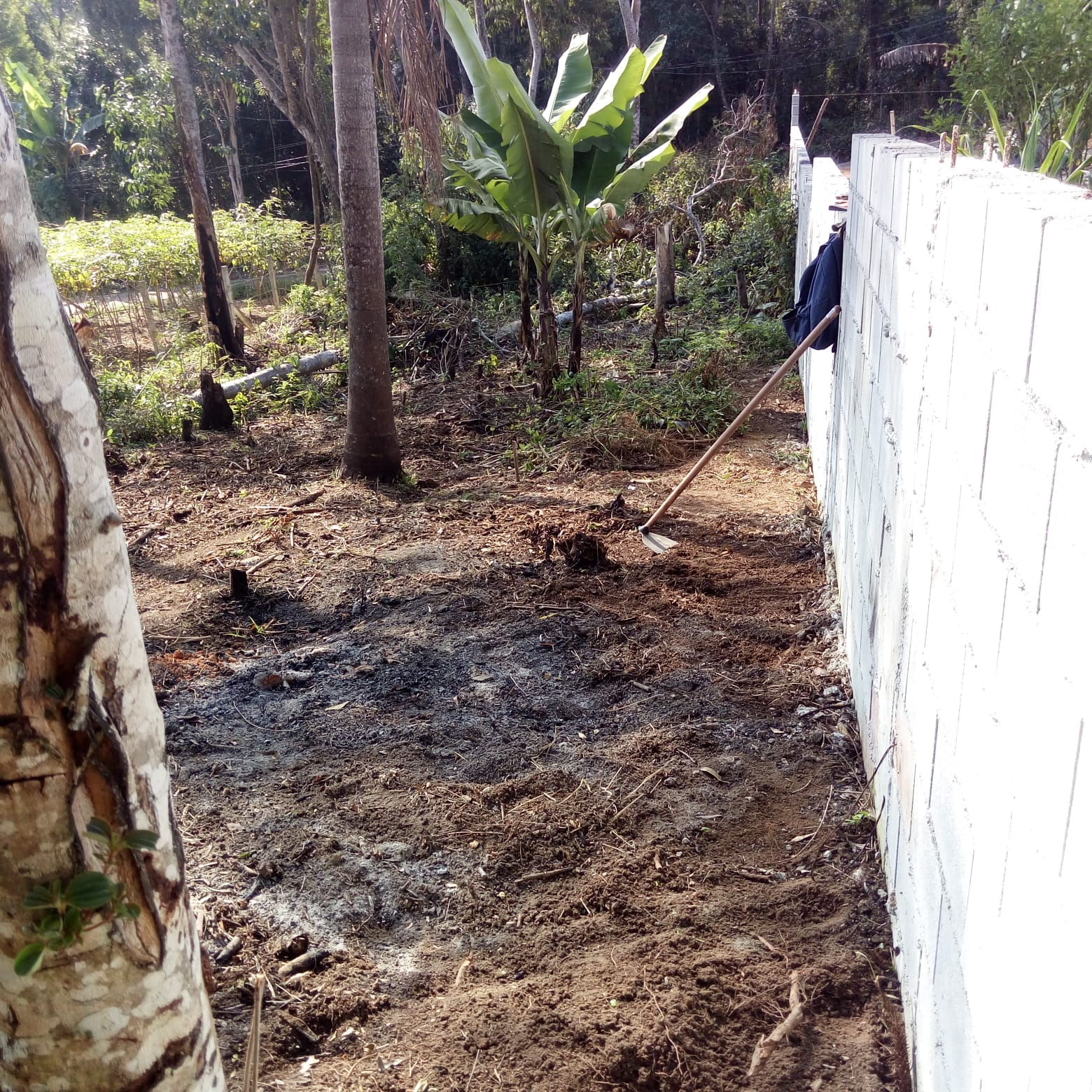 Terreno, 330 m² - Foto 2