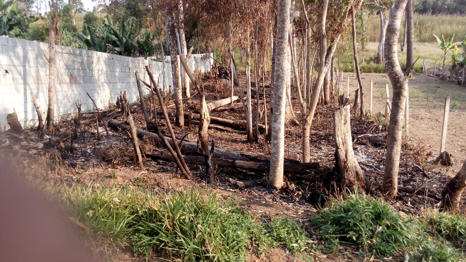 Terreno, 330 m² - Foto 1