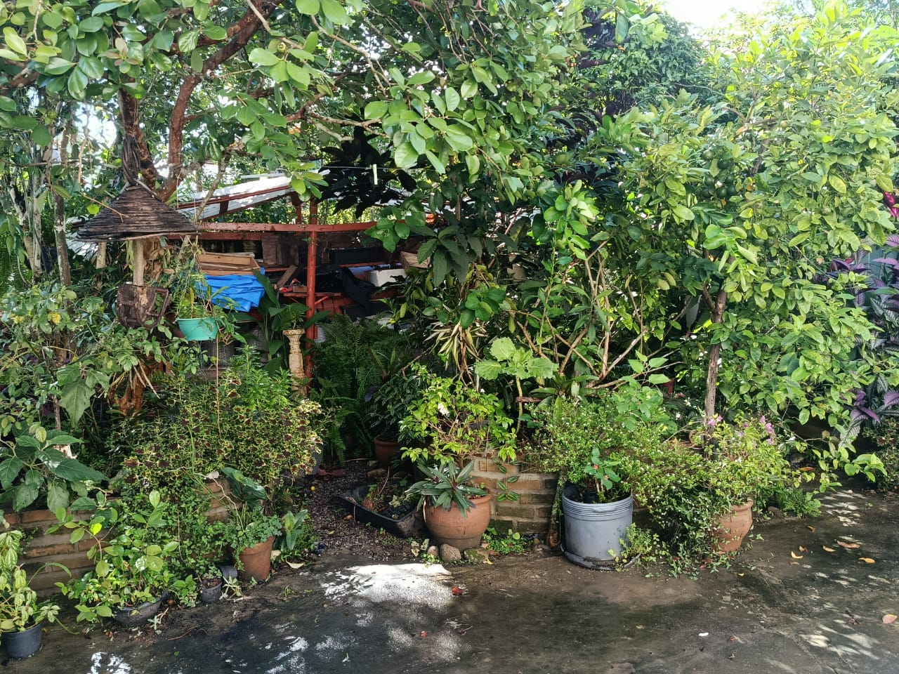 Casa, 1 quarto - Foto 2