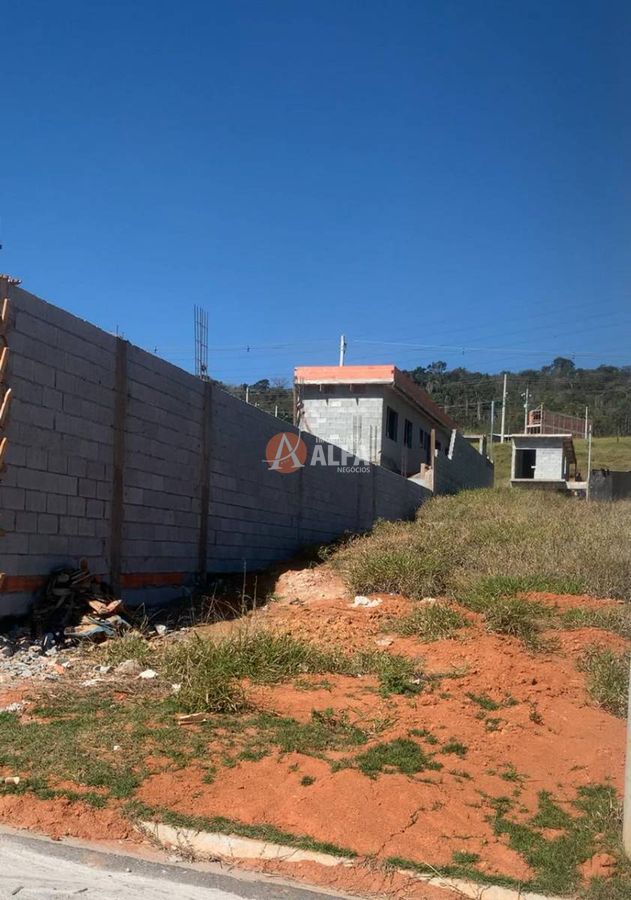 Apartamento - Foto 4