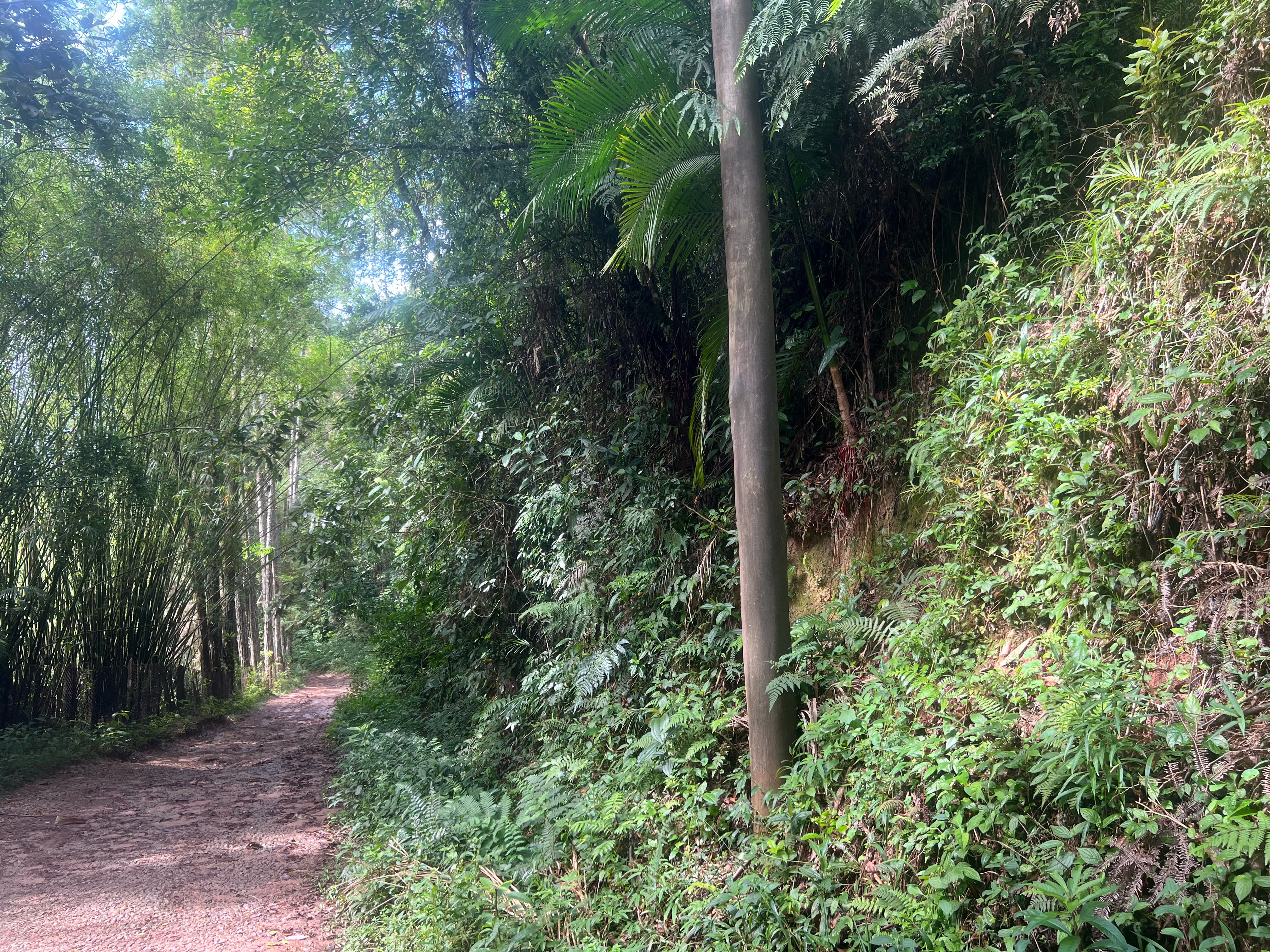  Terreno com 19.000m - Belvedere - Juquitiba/SP