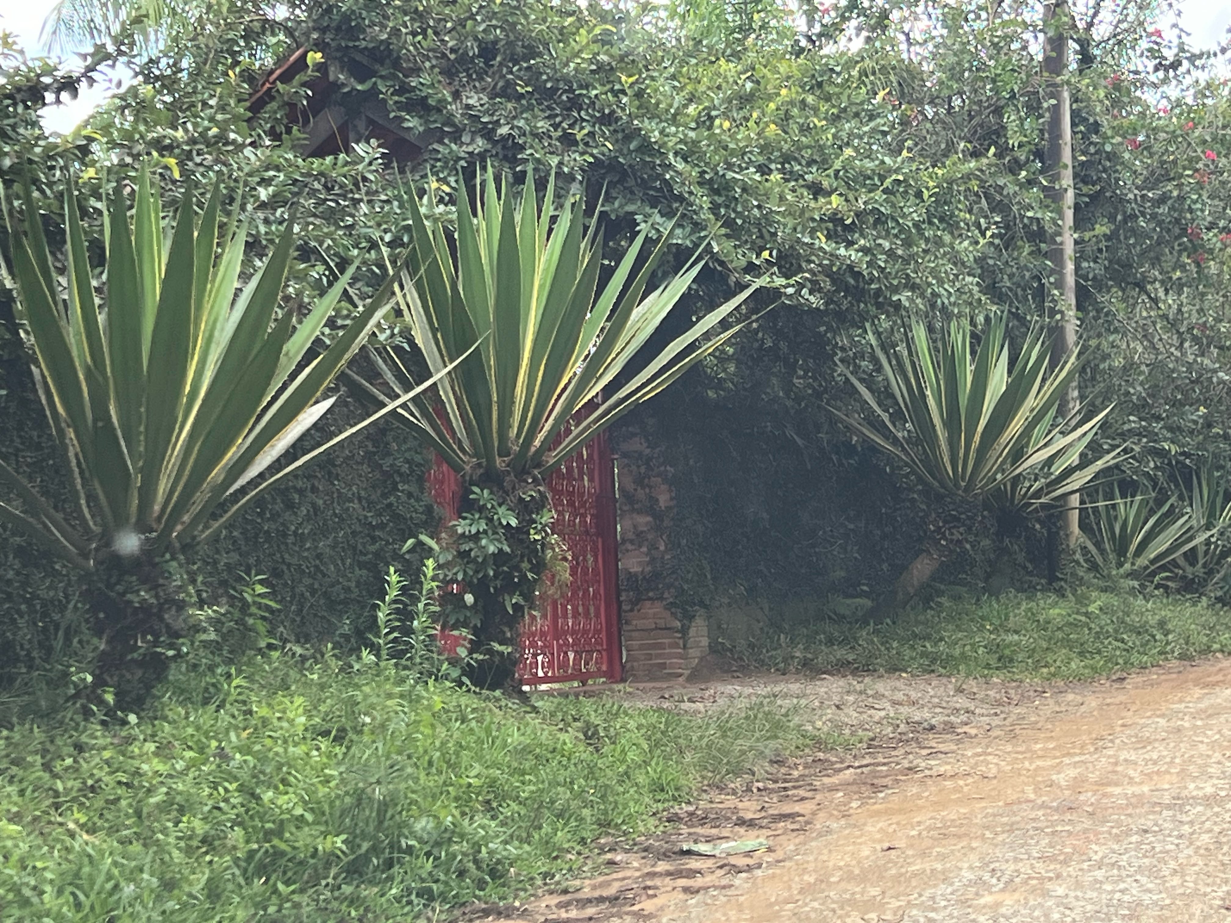Terreno, 2 hectares - Foto 7