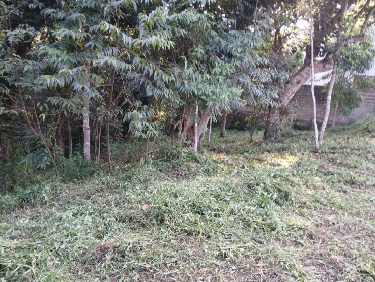 Terreno - Foto 6