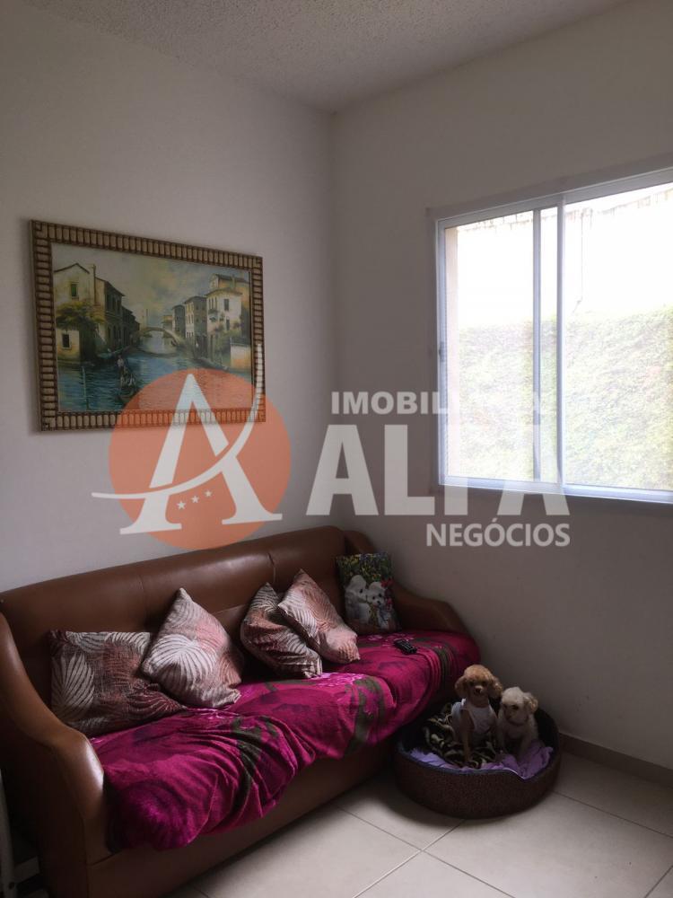 Apartamento à venda com 2 quartos, 46m² - Foto 3