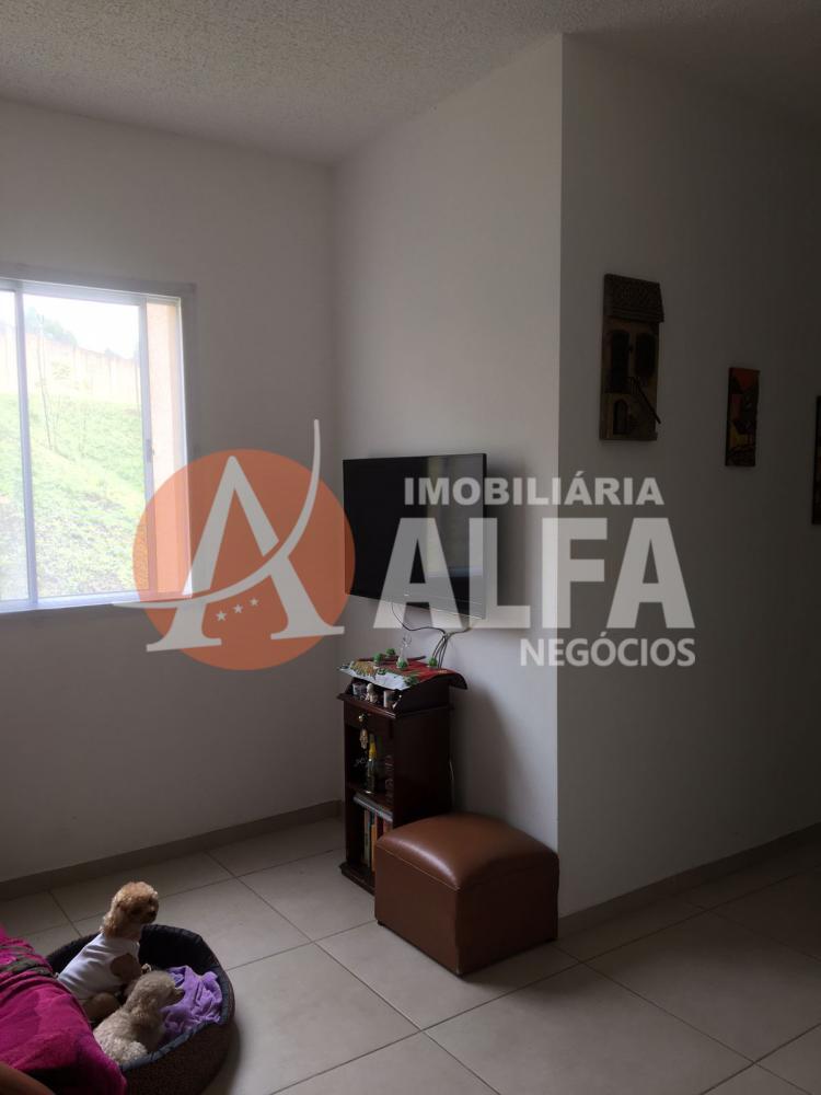 Apartamento à venda com 2 quartos, 46m² - Foto 5