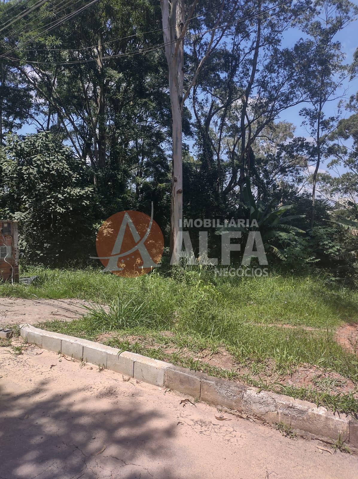 TERRENO - 650 METROS - PARQUE RIZZO II - COTIA / SP