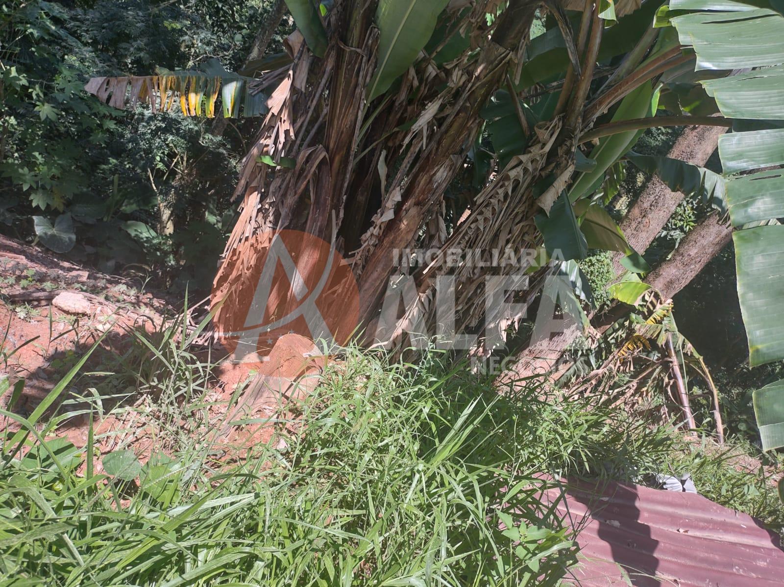 TERRENO - 650 METROS - PARQUE RIZZO II - COTIA / SP