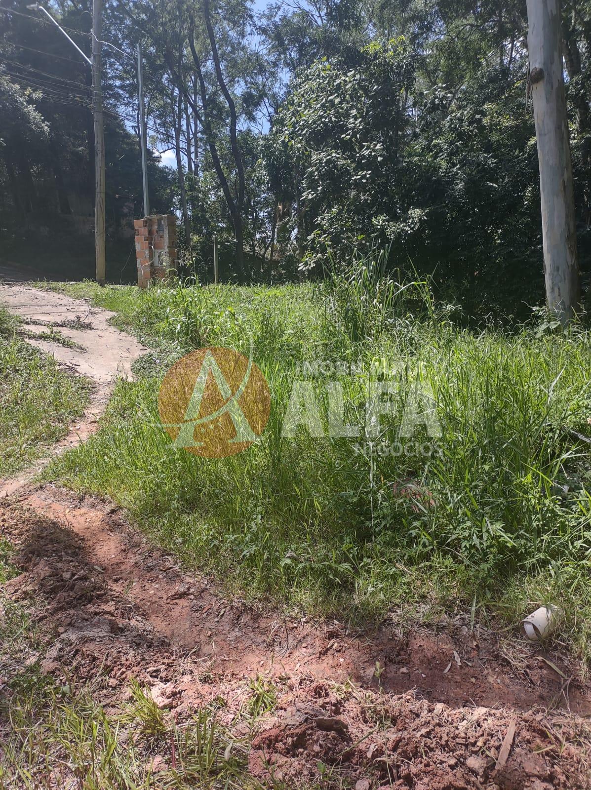 TERRENO - 650 METROS - PARQUE RIZZO II - COTIA / SP