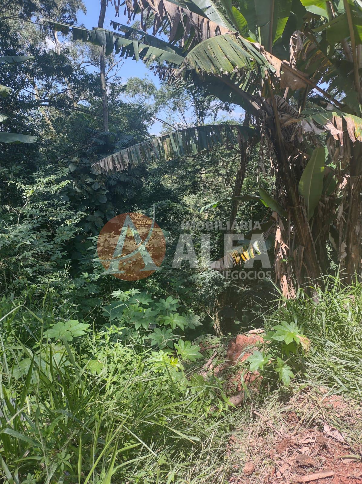 TERRENO - 650 METROS - PARQUE RIZZO II - COTIA / SP