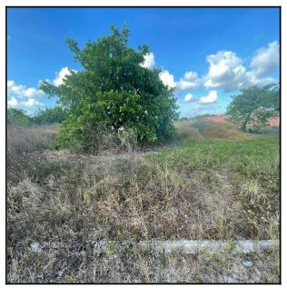 Oferta em destaque — Terreno no Dourado, Horizonte - CE, Nº 00