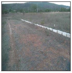 Super oferta — Terreno no Lot Res Deus É Fiel, Jatauba - PE, Nº 00, 126m²