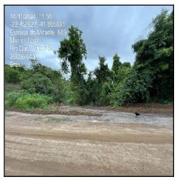 Terreno - Venda