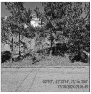 Terreno - Venda