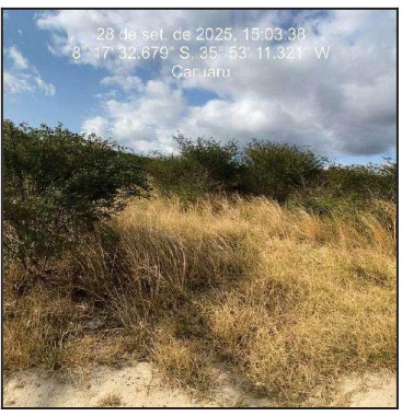 Grande chance — Terreno no Zona Urbana, Caruaru - PE, Nº S, 450m²