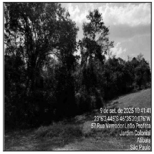Terreno - Venda