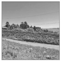Terreno - Venda