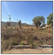 Terreno - Venda
