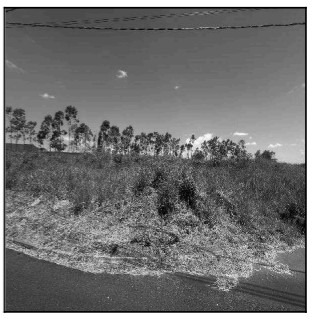Terreno - Venda