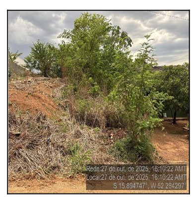 Oportunidade em destaque — Terreno no Loteamento Cidade Universitaria, Barra do Garcas - MT, QD 17, 250m²