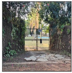 Casa - Venda