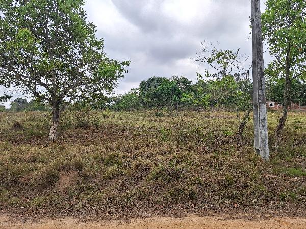 Terreno - Venda