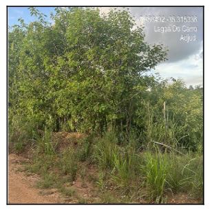 Excelente imóvel — Terreno no Loteamento Recanto C, Lagoa do Carro - PE, Nº S