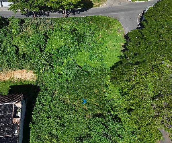 Oferta promissora — Terreno no Goes Calmon, Itabuna - BA, 889,5m²