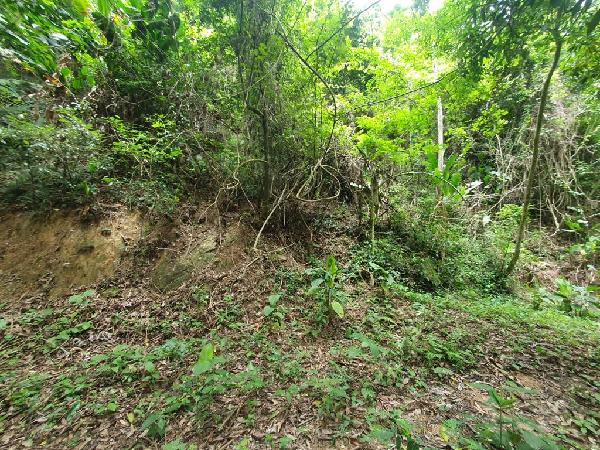 Terreno - Venda