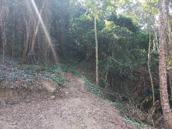 Terreno - Venda