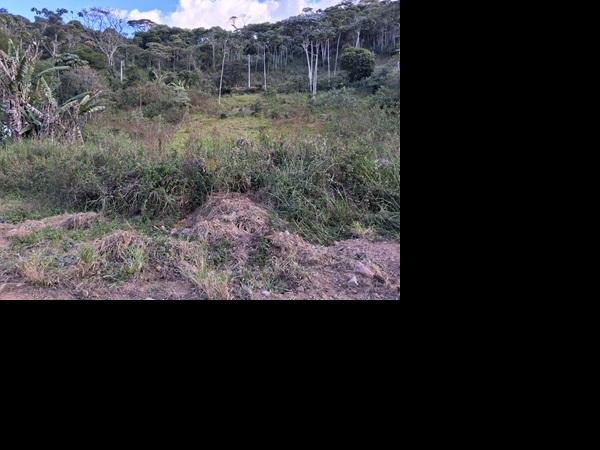 Oportunidade certa — Terreno no Colonia Alpina, Teresopolis - RJ, N. SN QD V