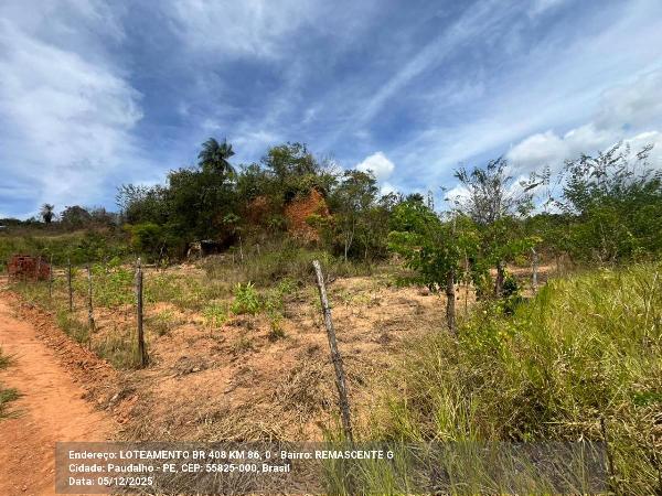 Imóvel em ótima região — Terreno no Br 408 Km 86, Paudalho - PE, Nº 0