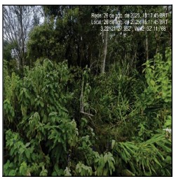Terreno - Venda
