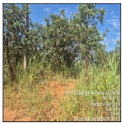 Imóvel com bom aproveitamento — Terreno no Parque Alvorada Ii, Luziania - GO, N. SN LT 11 RUA 70