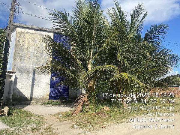 Apartamento - Venda