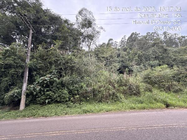 Terreno - Venda