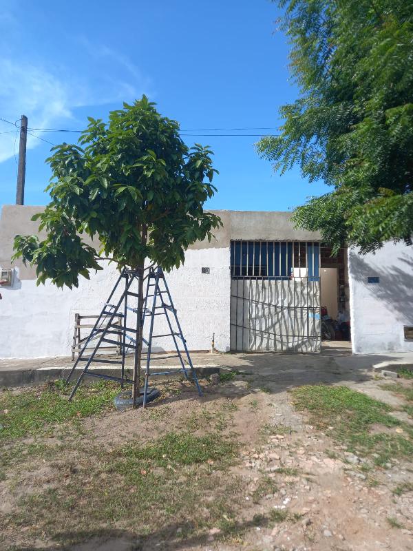 Casa - Venda