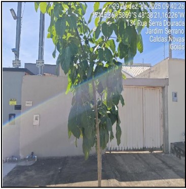 Oportunidade para moradia — Casa no Jardim Serrano, Caldas Novas - GO, Nº 150, 2 quartos, 180m²