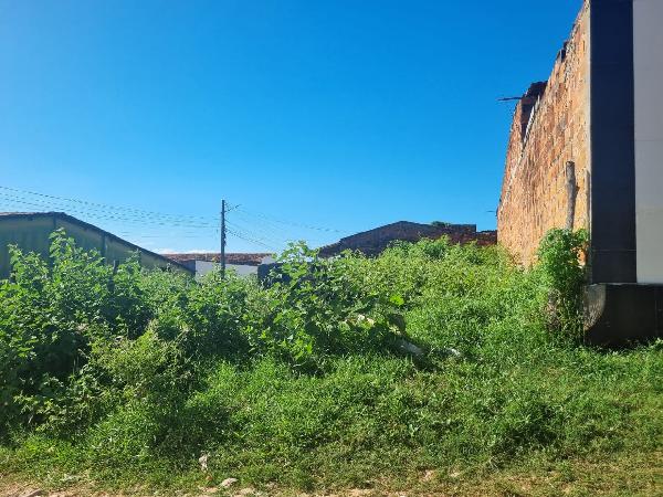 Terreno - Venda