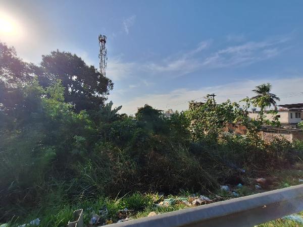 Casa - Venda