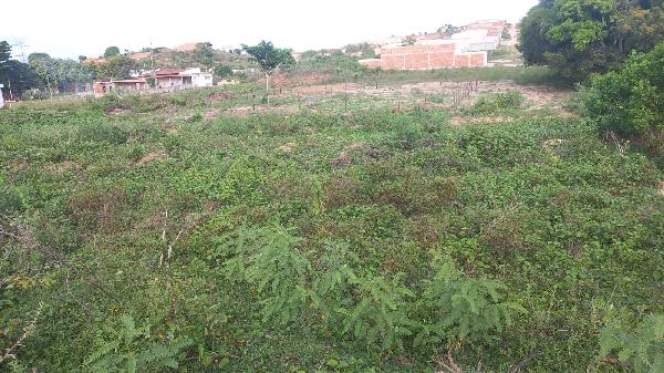 Terreno - Venda