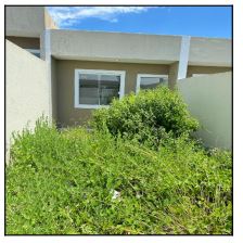 Casa - Venda
