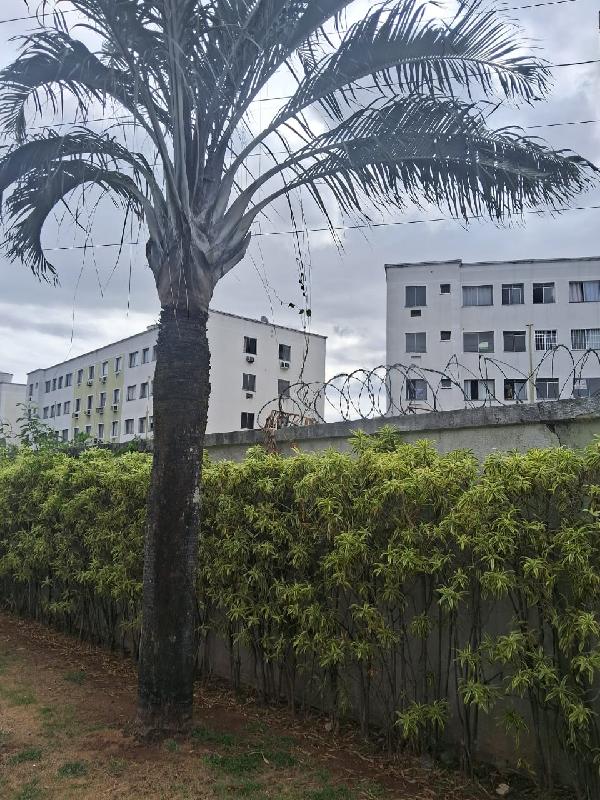 Apartamento - Venda