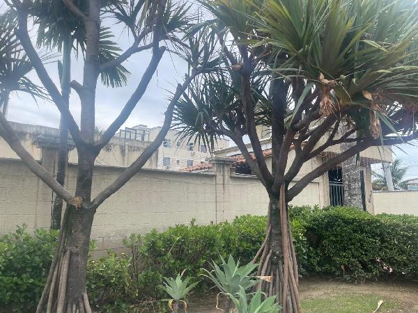 Apartamento - Venda