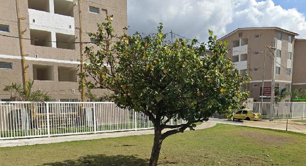Apartamento - Venda